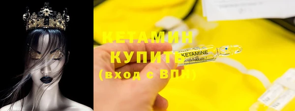 шишки Бердск